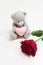 Bear and rose on a white background