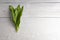 Bear`s onion pesto, wild garlic, walnuts and pesto on white wooden background