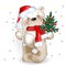 Bear Santa Claus