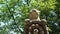 Bear sculpture between trees in the Park of the Monsters of Bomarzo