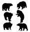 Bear Silhouette Animal