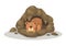 Bear sleeping in cave vector