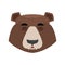 Bear sleeping Emoji. grizzly asleep emotion. face Wild animal is