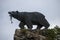 Bear Statue Kajaran`s Key in Kapan Qajaran way, Syunik province of Armenia