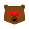 Bear superhero face. Super beast in mask. Strong Grizzly head