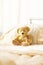 Bear Teddy hospital bed