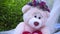 Bear teddy on white fabric at park. Closeup of teddy bear on grass background