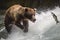 A bear tries to catch a salmon that jumps in a stream. Ai generated