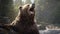 a bear twirling and enjoying the rain