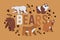 Bear vector wild animal character brown grizzly panda she-bear and polar bear illustration backdrop cartoon teddy-bear