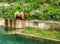 A Bear is walking along edge of pool in Bern Bear Pit Barengraben in Bern Bear Park, Berne, Switzerland, Europe.