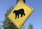 Bear warning sign in the wilderness