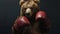 Bear Wearing Boxing Gloves Ready to Train