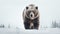 bear on white background illutration by generative ai