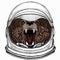 Bear wild animal face. Grizzly cute brown bear head portrait. Astronaut animal. Vector portrait. Cosmos and Spaceman