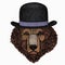 Bear wild animal face. Grizzly cute brown bear head portrait. Bowler hat.