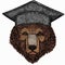 Bear wild animal face. Square academic cap, graduate cap, cap, mortarboard. Grizzly cute brown bear head portrait.