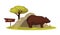 Bear zoo animal and wooden signboard vector cartoon icon for zoological park