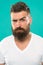 Beard fashion and barber concept. Strict and serious. Man bearded hipster stylish beard turquoise background. Barber
