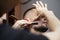 Beard haircut in a barbershop, a young guy shaving his beard with a razor, close-up