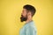 The beard is here to stay. Brutal hipster with textured beard hair on yellow background. Bearded man with stylish