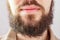 Beard male. Close-up cropped image of bearded man`s face on grey