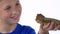 Bearded agama sitting on the hand of boy and he carefully examines it at white background. Slow motion. Close up