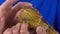 Bearded agama sitting on the hand of boy and he stroking her at white background. Slow motion. Close up