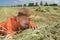 Bearded Caucasian senior farmer lying on stack of hay on  agricultural field and looking forward