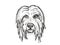 Bearded Collie Dog Breed Cartoon Retro Drawing