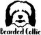 Bearded Collie head word