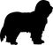 Bearded Collie silhouette black