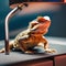 A bearded dragon basking under a heat lamp while adjusting the temperature settings on a smart thermostat4