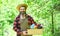 Bearded farmer in straw hat with wooden box. mature man gardener working in greenhouse. brutal male carry garden tools