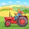 A bearded farmer in a tractor. Cartoon tractor model. The cultivation of the landscape