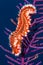 Bearded Fire Worm feeding in a purple coral.