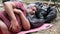 Bearded male tourist sleeps near a campfire in the open air. Close-up