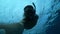 Bearded man engaged in scuba diving floats to the surface of the sea and shows a victory sign
