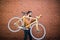 Bearded man with a fixie bicycle. Confident young bearded man carrying his bicycle on shoulder and looking at camera while walking