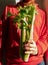 Bearded man in hoody holds fresh green celery in hand harsh shadow Vegetable greenery gathering Farmer garden harvesting