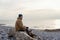 Bearded Man relaxing alone on seaside on cold winter day. Travel  Lifestyle concept