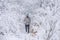 Bearded man with skates in snowy forest.