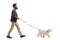 Bearded man walking a maltese poodle dog