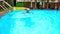 Bearded Old Man Swims along Oval City Swimming Pool