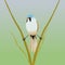 Bearded reedling songbird in the reeds