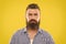 Bearded and serious. Beard fashion and barber concept. Man bearded rustic hipster stylish beard yellow background