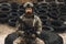 Bearded soldier in military uniform looking determined and serious