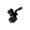 Bearded vulture bird silhouette vector illustration abstract