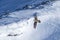 Bearded vulture gypaetus barbatus flying in front of swiss alps scenery. outstretched wings, Winter mountains scenery. Rare