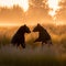 bears playing in a field at sunrise